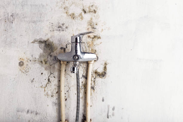 Best Mold Remediation Services  in Fifth Street, TX
