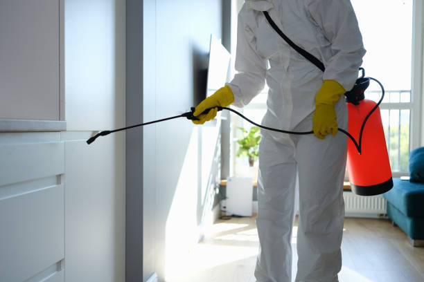 Home Mold Removal in Fifth Street, TX